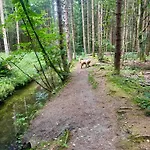Gemuetliches 5 Min Nach Velden Am Woerthersee * Kranzlhofen