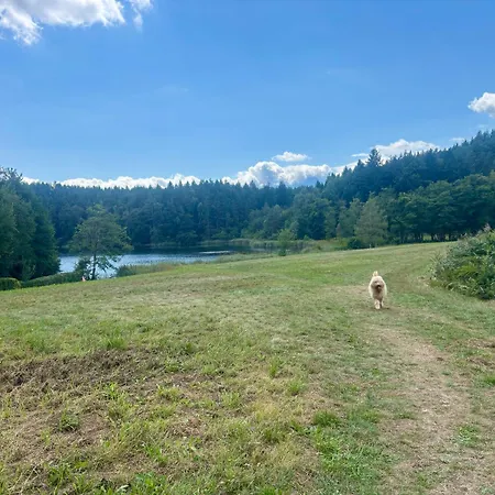 Gemuetliches Apartment 5 Min Nach Velden Am Woerthersee