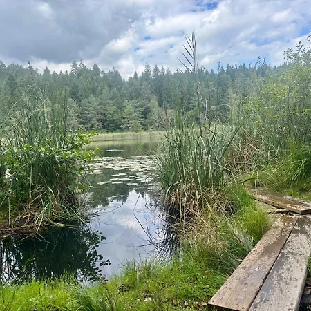 Gemuetliches 5 Min Nach Velden Am Woerthersee Appartement *