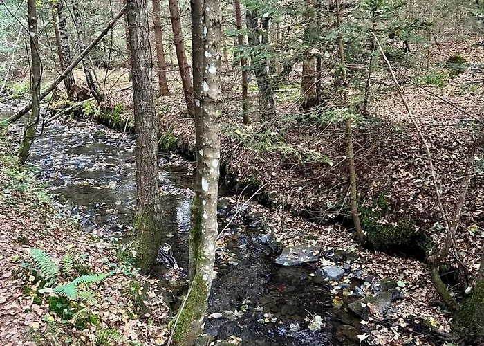 Gemuetliches Apartment 5 Min Nach Velden Am Woerthersee Appartement *