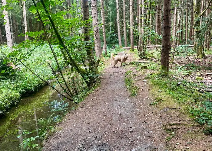 Gemuetliches Apartment 5 Min Nach Velden Am Woerthersee * Kranzlhofen