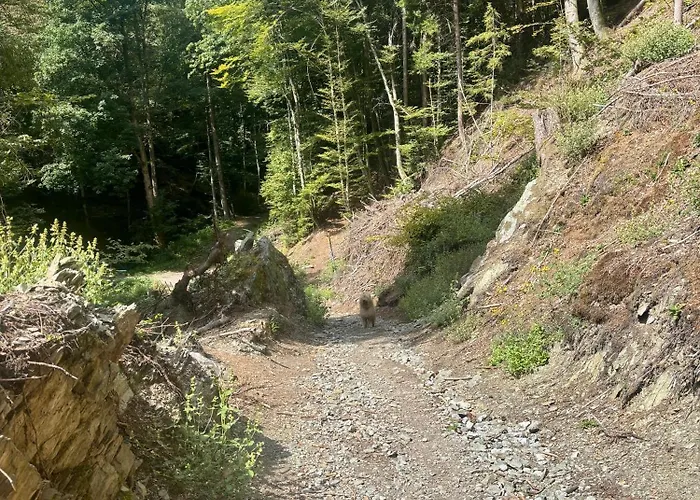 Gemuetliches Apartment 5 Min Nach Velden Am Woerthersee Kranzlhofen