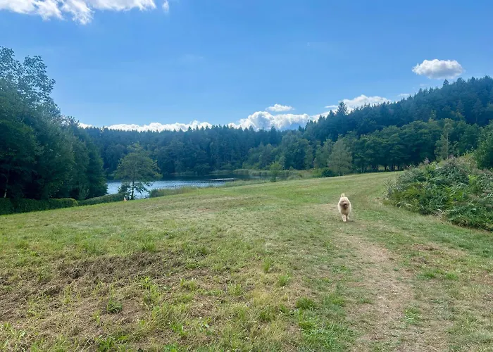 Gemuetliches Apartment 5 Min Nach Velden Am Woerthersee