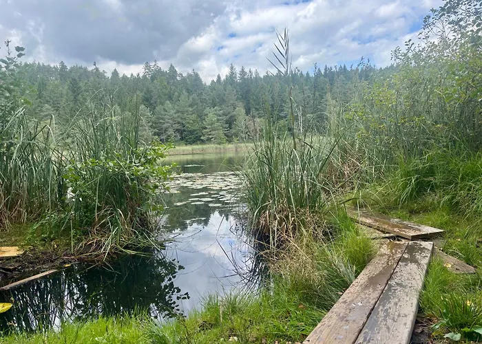 Gemuetliches Apartment 5 Min Nach Velden Am Woerthersee Appartement *